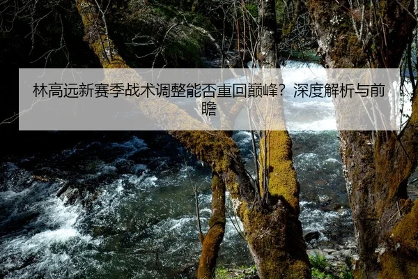 林高远新赛季战术调整能否重回巅峰？深度解析与前瞻