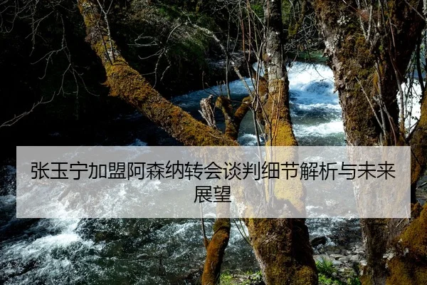 张玉宁加盟阿森纳转会谈判细节解析与未来展望